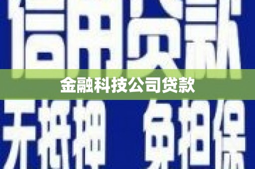 梁河金融科技公司贷款