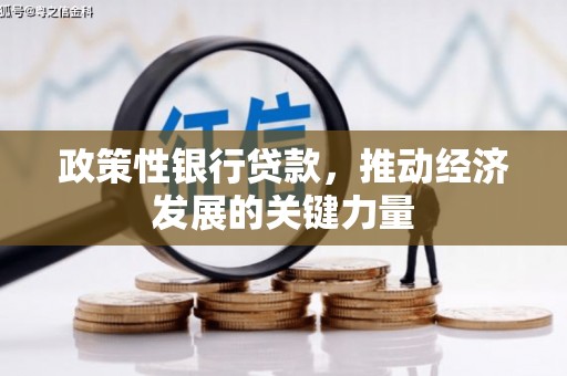 梁河政策性银行贷款，推动经济发展的关键力量