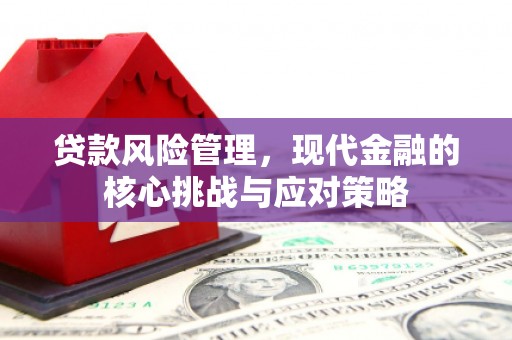 梁河贷款风险管理，现代金融的核心挑战与应对策略