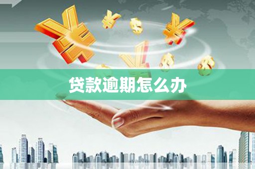 梁河贷款逾期怎么办