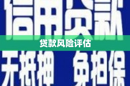 梁河贷款风险评估