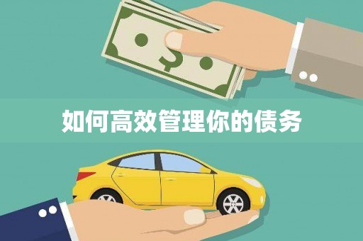 梁河如何高效管理你的债务