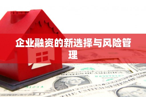 梁河企业融资的新选择与风险管理