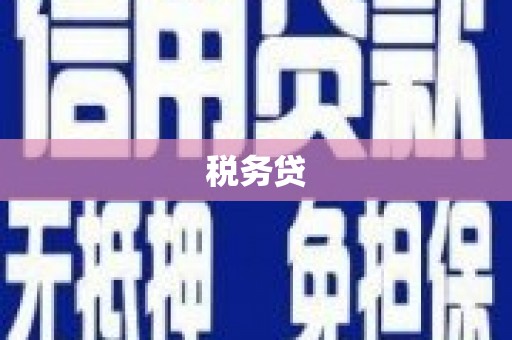 梁河税务贷
