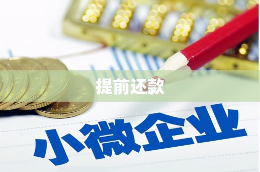 梁河提前还款