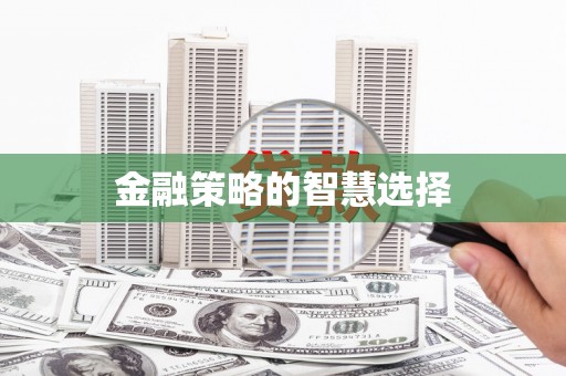 梁河金融策略的智慧选择