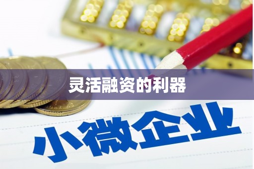 梁河灵活融资的利器