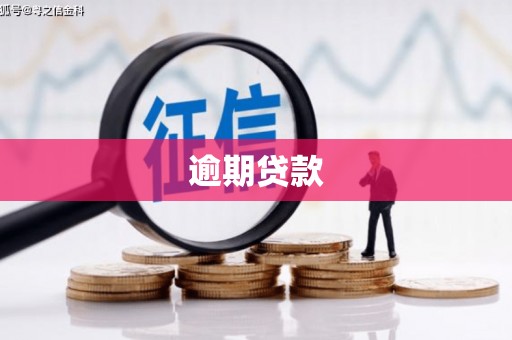 梁河逾期贷款