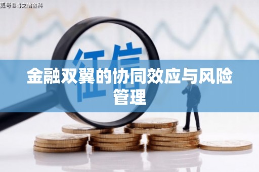 梁河金融双翼的协同效应与风险管理